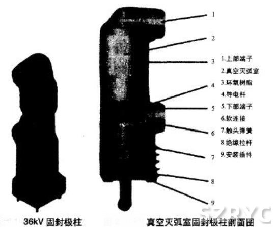 固封式极柱真空断路器剖面图